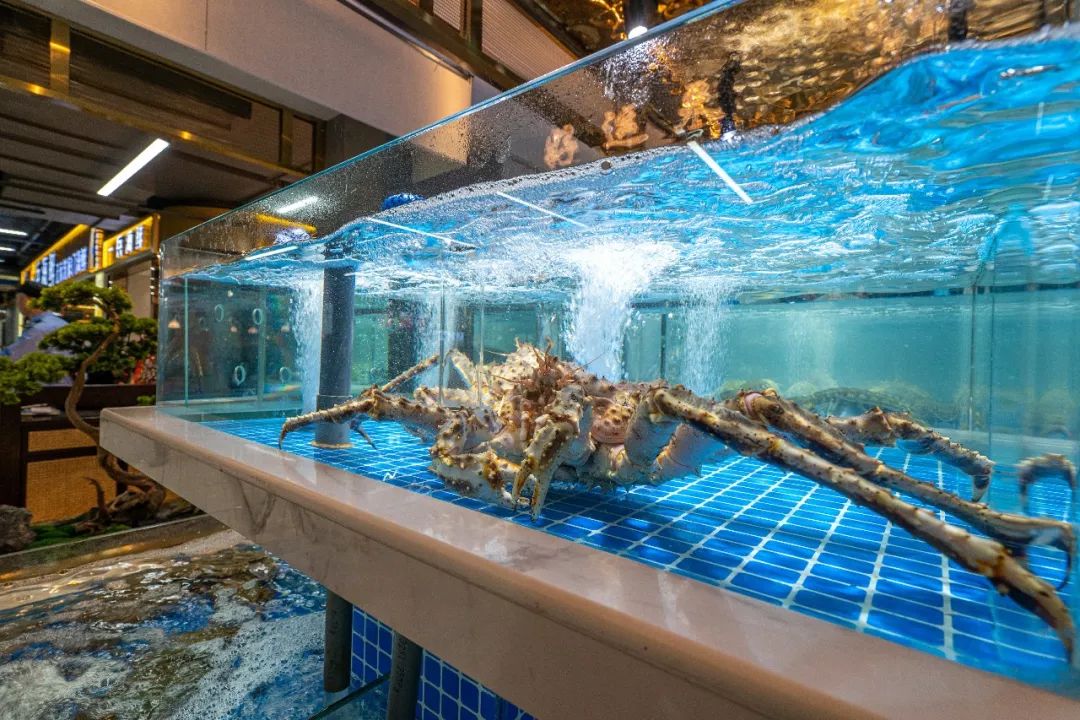 多次转型！涌金广场联手近江海鲜城满血复活？