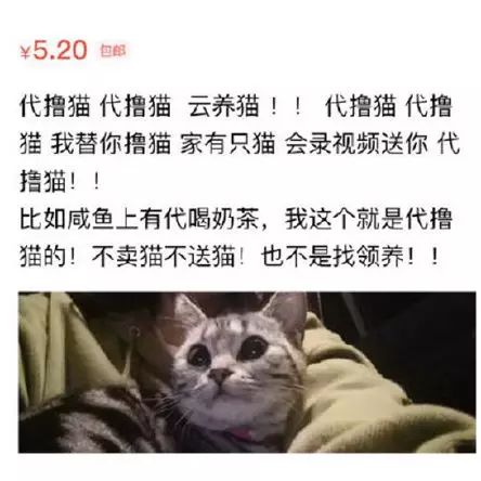 代吃饭代做菜,代做菜服务