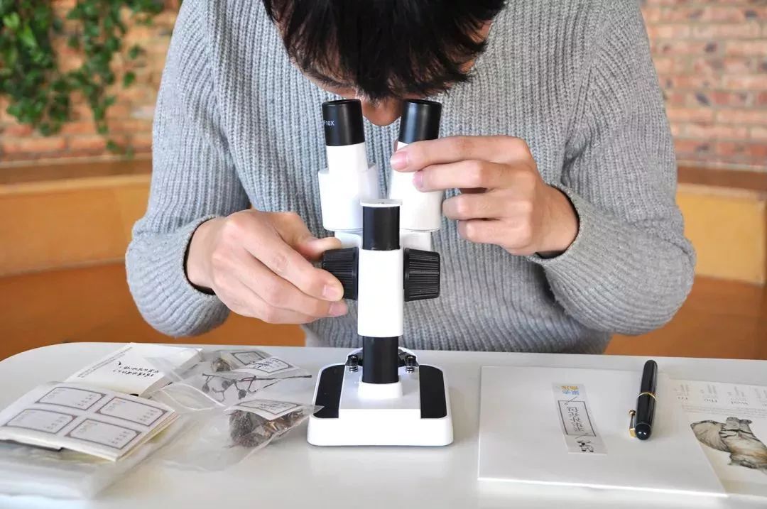 双11什么商品真正优惠,双11到底有哪些优惠