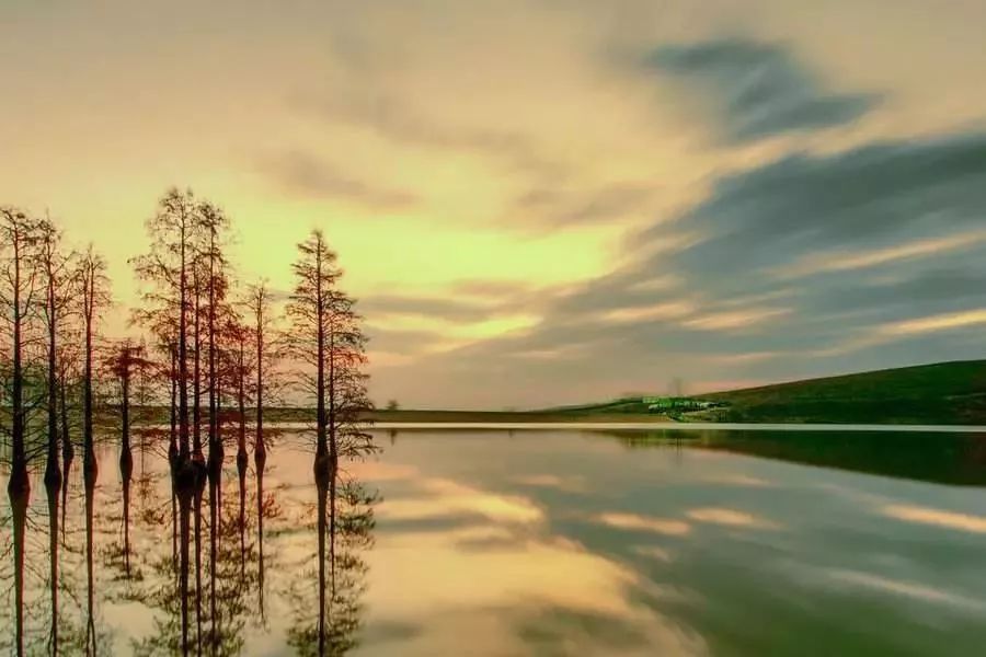 天呐!被南京这些路圈粉!