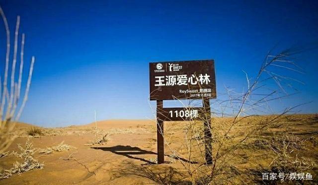 王源的粉丝应援有哪些,王源生日应援上热搜了吗