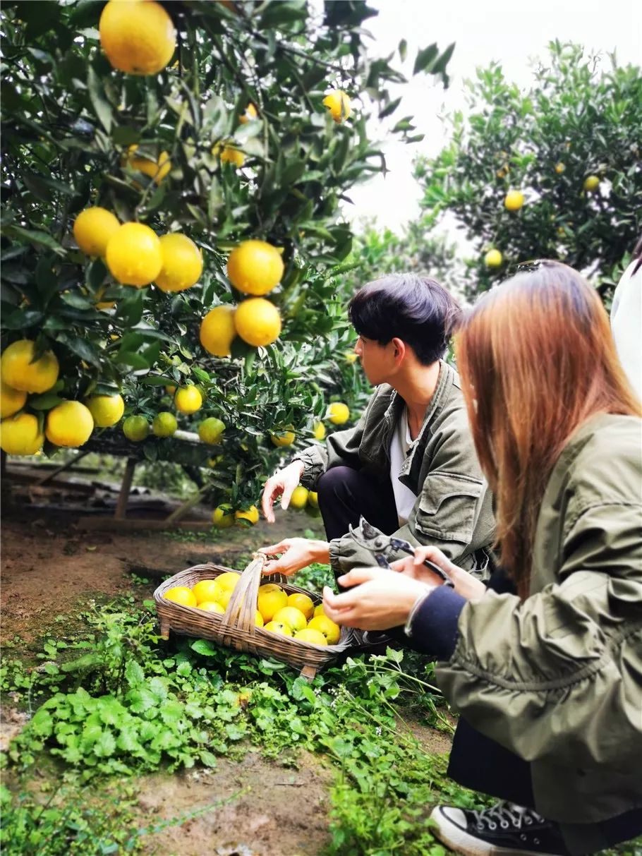 成都最有名的冷知识,成都冷知识