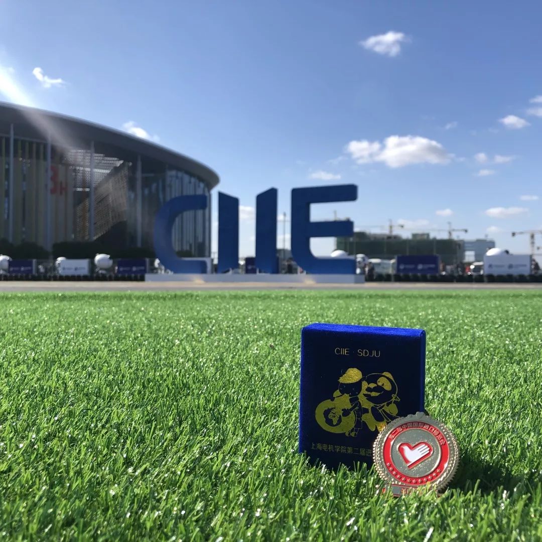 进博会小叶子徽章,进博会小叶子完整视频