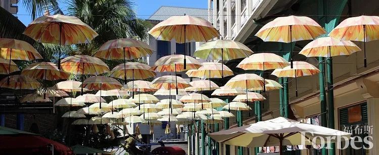 福布斯生活,福布斯生活旅游指南