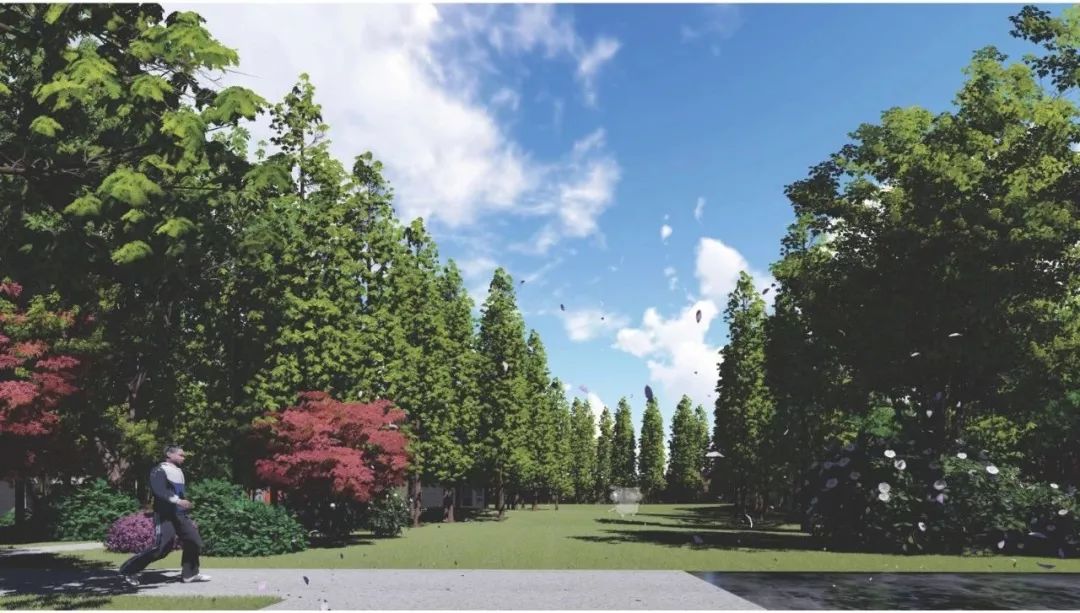 合肥北城正荣府合肥,合肥市北城正荣府航拍