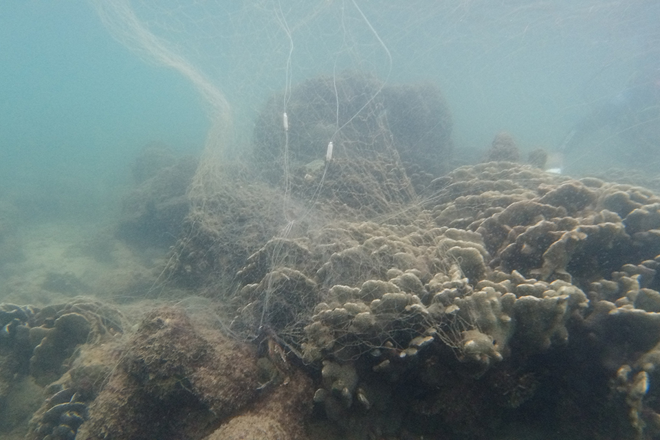 幽灵渔具,幽灵钓具靠谱吗