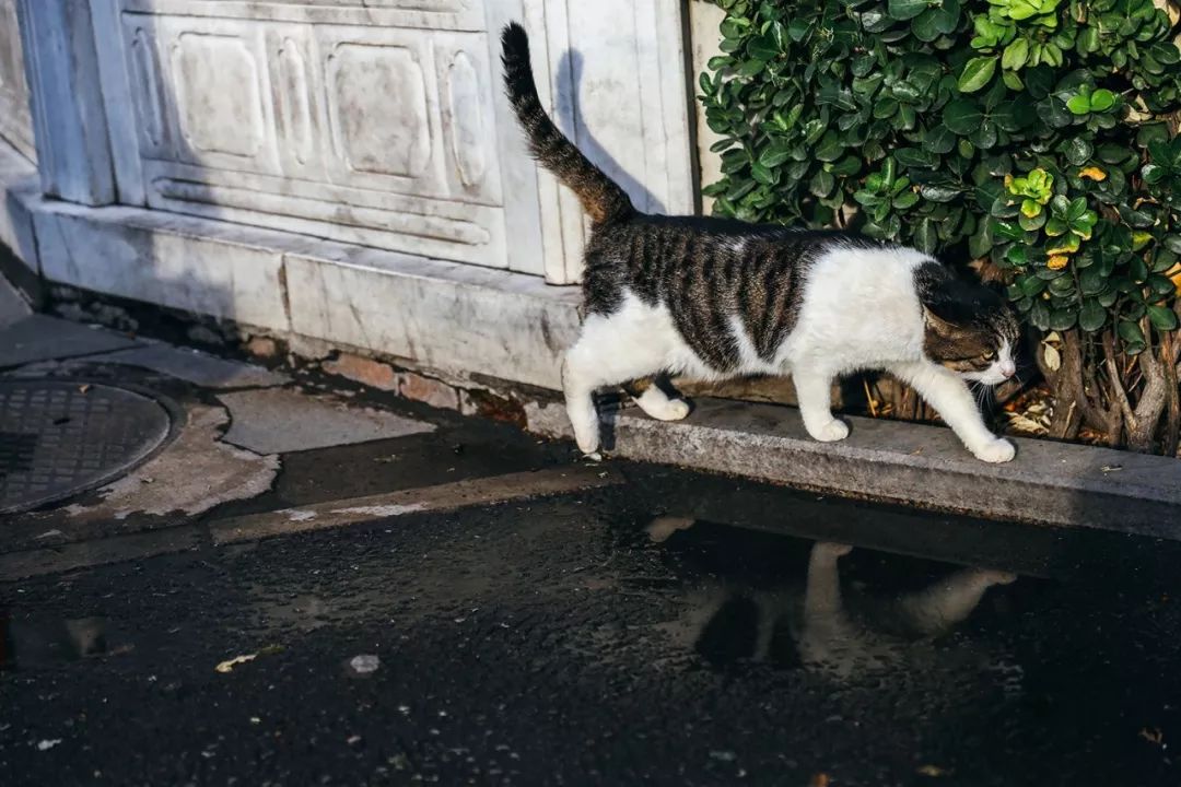 rf24-70f28闀滃ご璇勬祴,rf24-70f2.8闀滃ご閫備笉閫傚悎鏂版墜