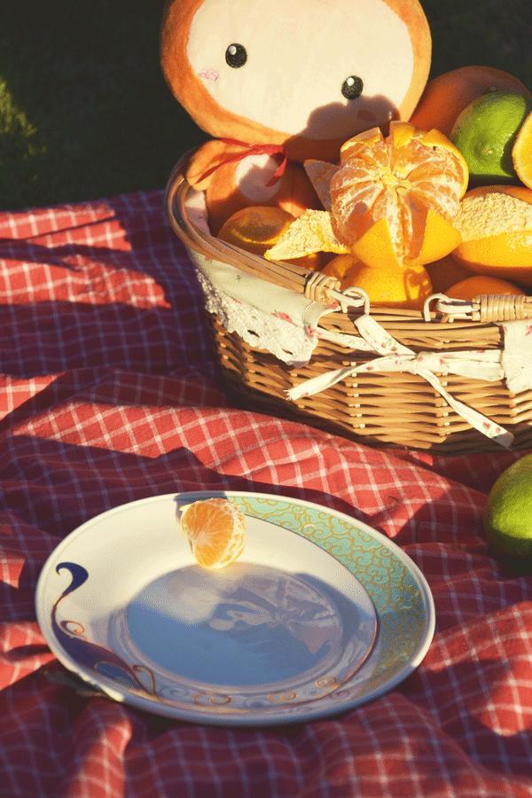 今年崇明的橘子哪里买,崇明岛现在有橘子卖吗