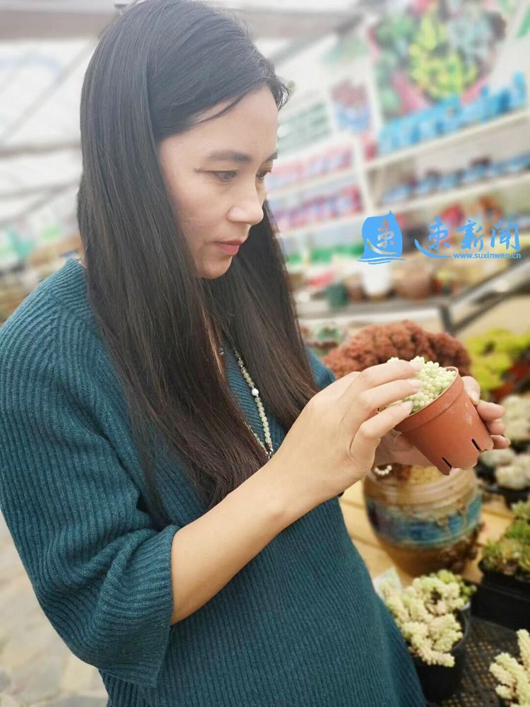 电商创富记视频,农产品电商创业新闻报道