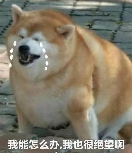 喜茶奈雪10款珍珠奶茶,喝过5次并且觉得好喝的奶茶测评