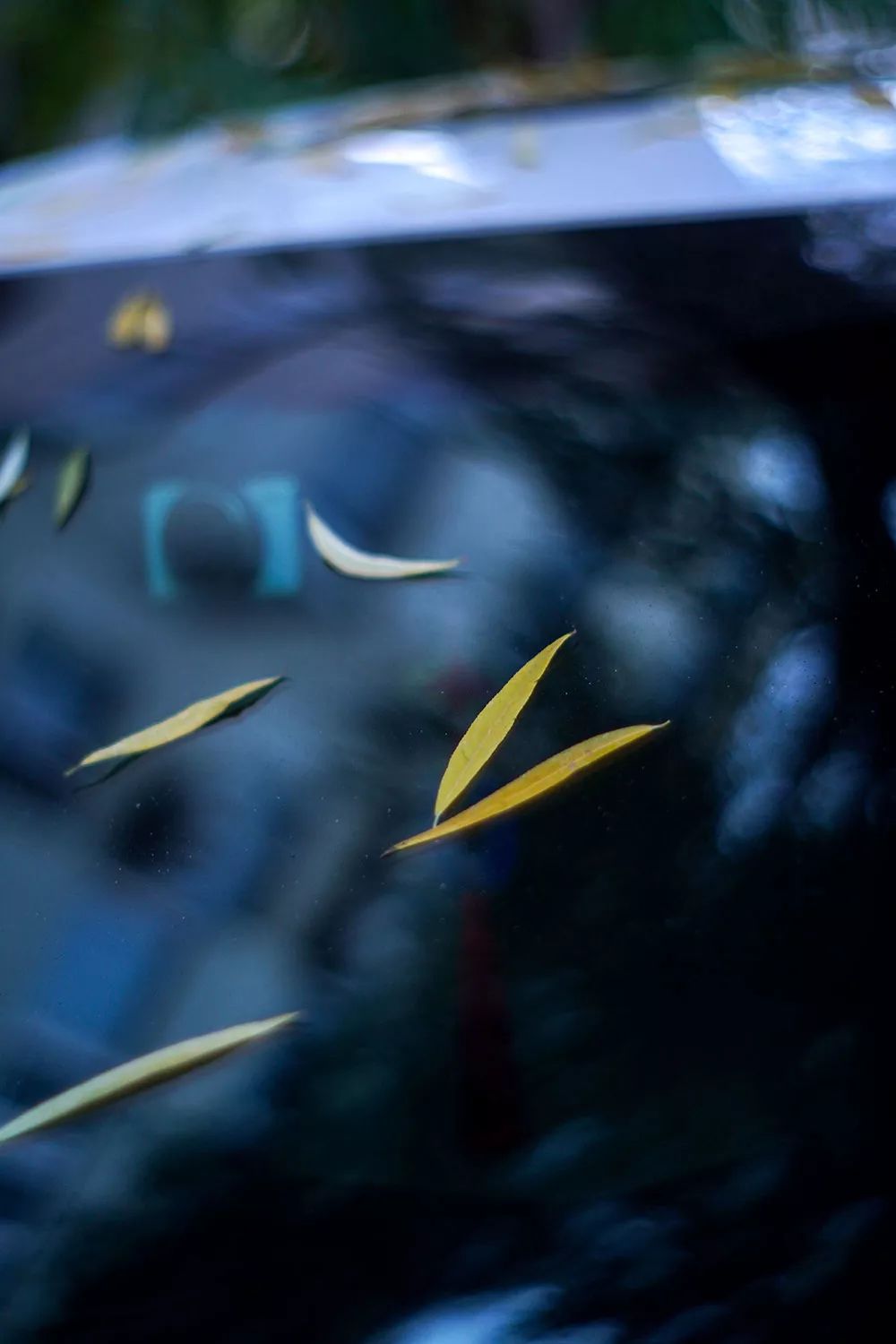 索尼alpha6100l测评,索尼新品相机阿尔法6100