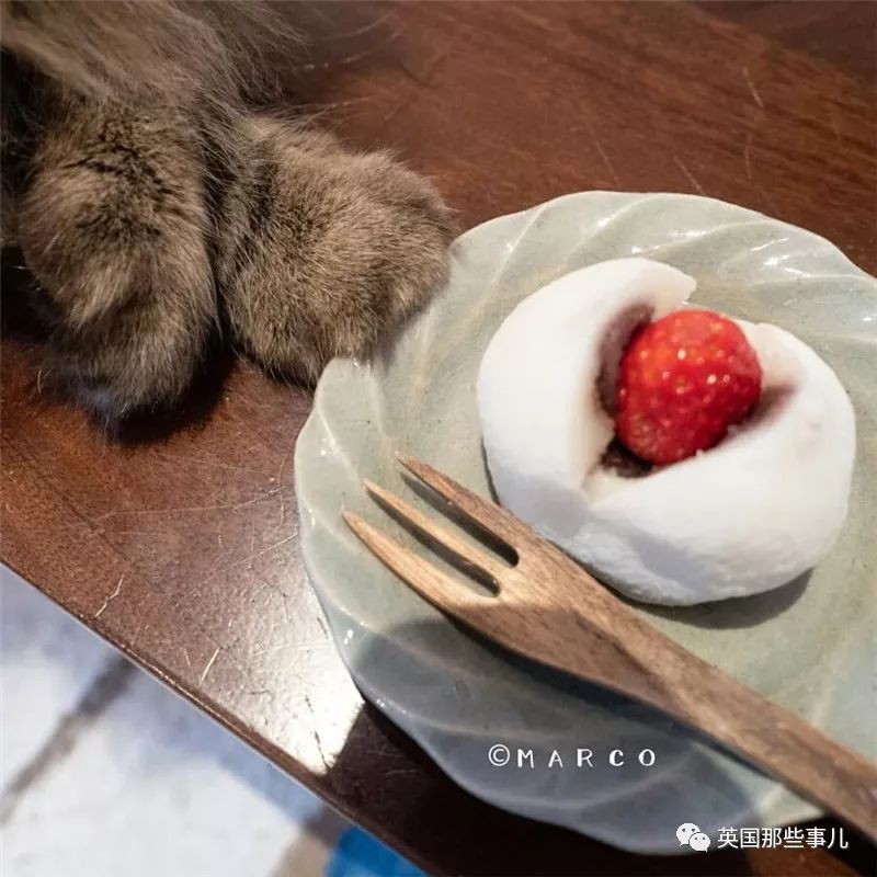 喵星人吃起来真香看的都想吃一口 (喂喵星人吃饭一副生无可恋的表情)