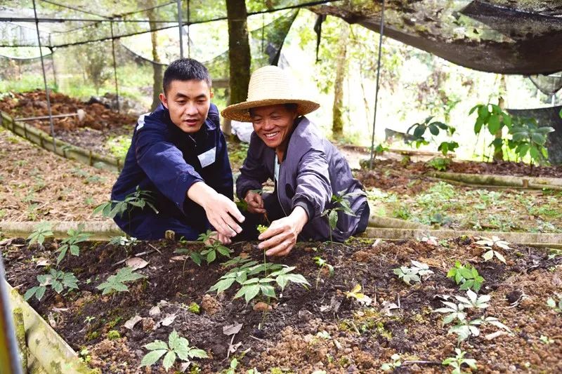 电网男女送礼都有啥？网友：送个锤子