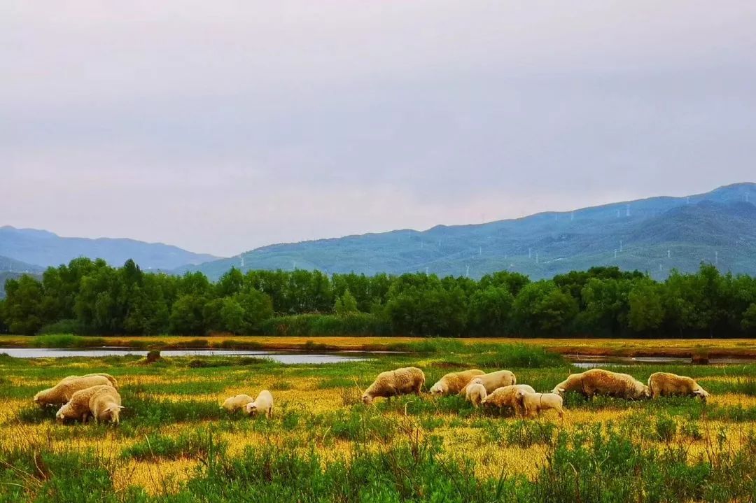 神仙生活在哪里,神仙生活在哪一层