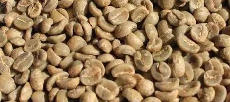 云南小粒种咖啡属于什么品种,咖啡品种最好的小粒种咖啡是什么