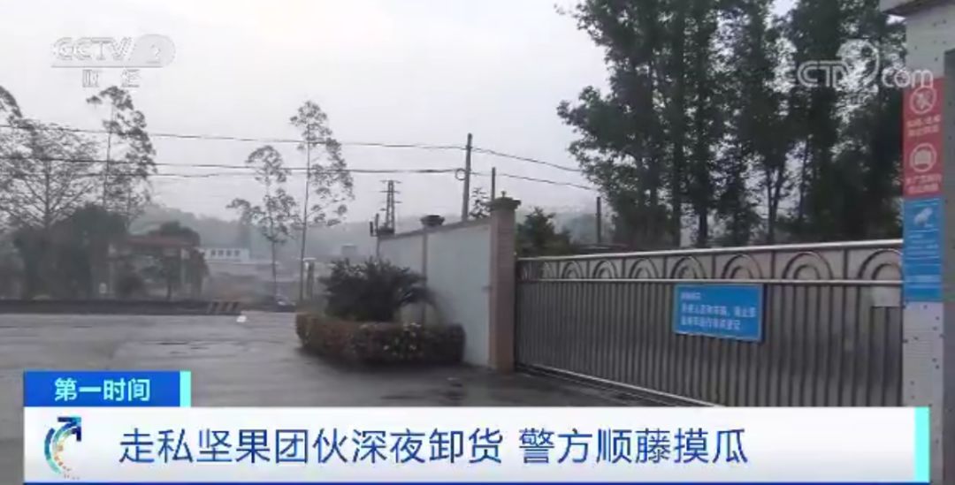 1级致癌坚果有哪些,1级致癌坚果名单