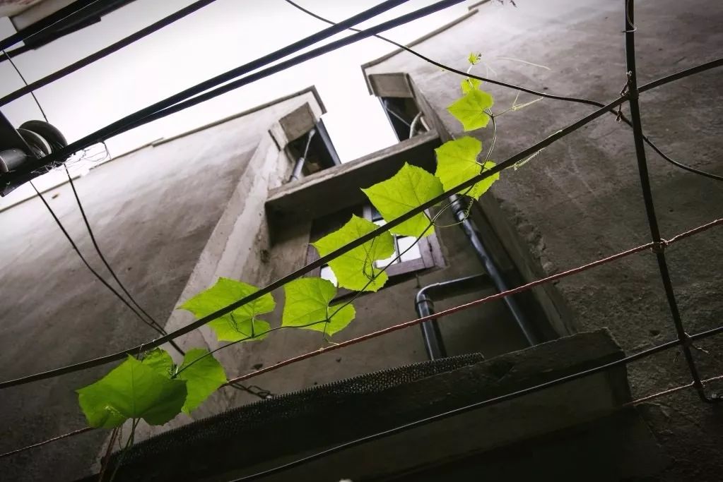 上海梦特娇旗舰店,上海梦梦直播间