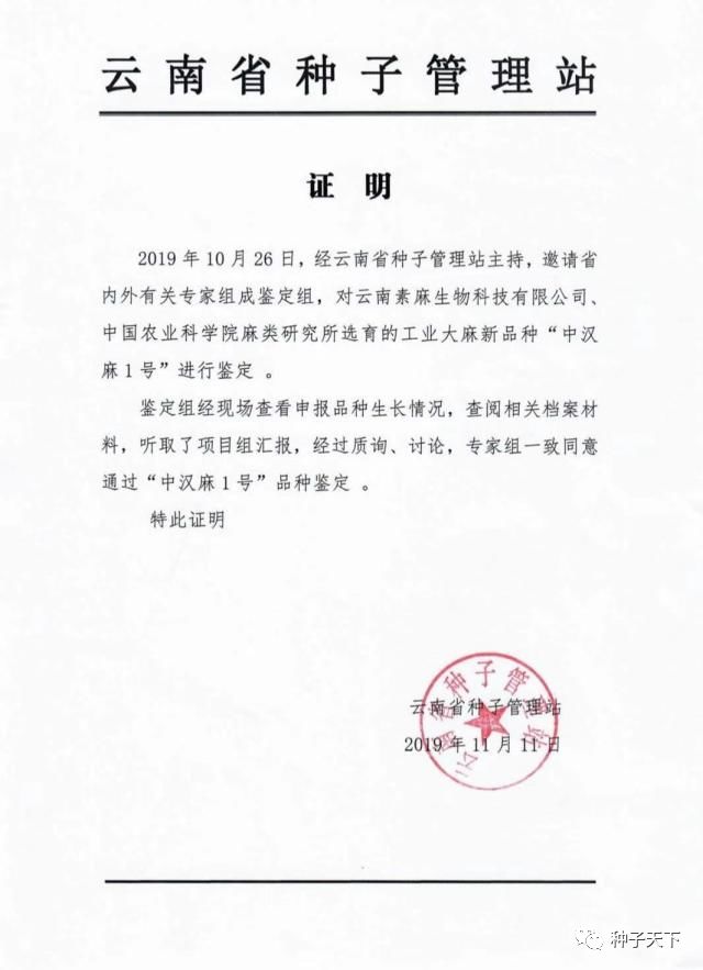 工业大麻种子质量筛选,工业大麻种子质量识别设备