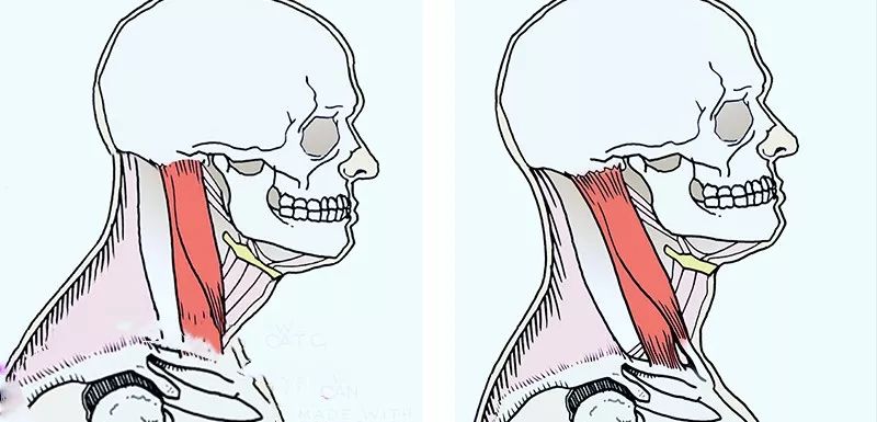 女明星和女明星同框颜值大对比,女明星红毯合照比美