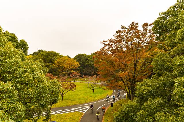 15天关西自由行,日本关东7日自由行