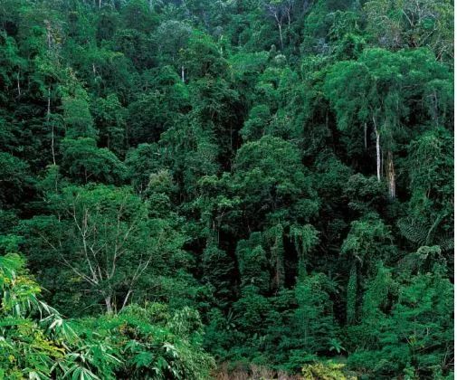 中国境内最好的宝石,中国哪里宝石最多