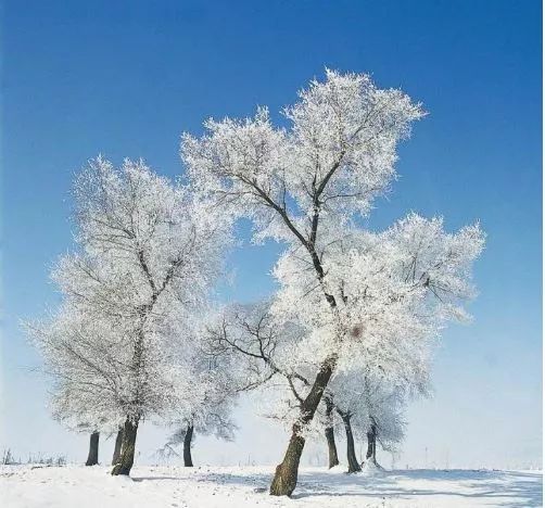 中国宝石排名,中国宝石宝藏大全