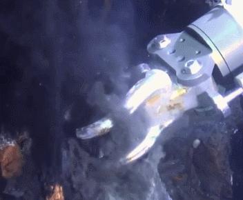 外星生物会长什么样子,外星生物真的存在吗