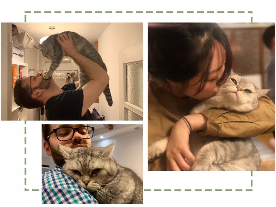 十一月好物种草,11月好物