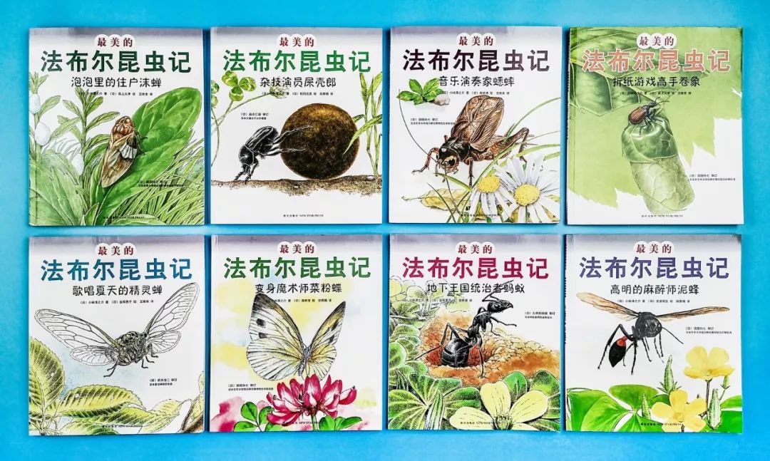 成长必读法布尔昆虫记,法布尔昆虫记书分享