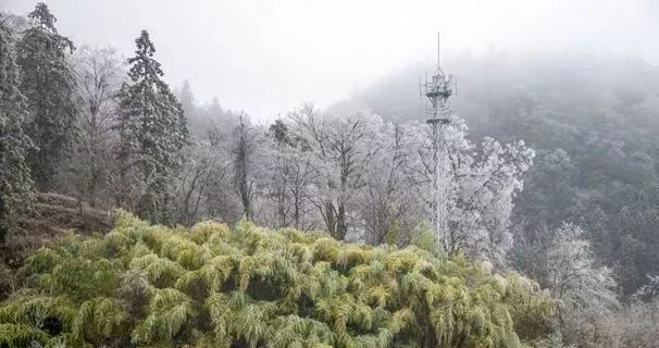 遵义冬天周边游二日游推荐,遵义冬游