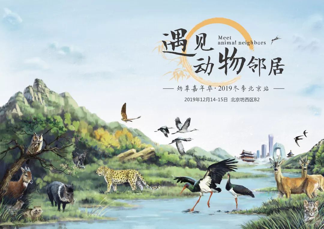 劲草嘉年华最新视频,2023年劲草嘉年华