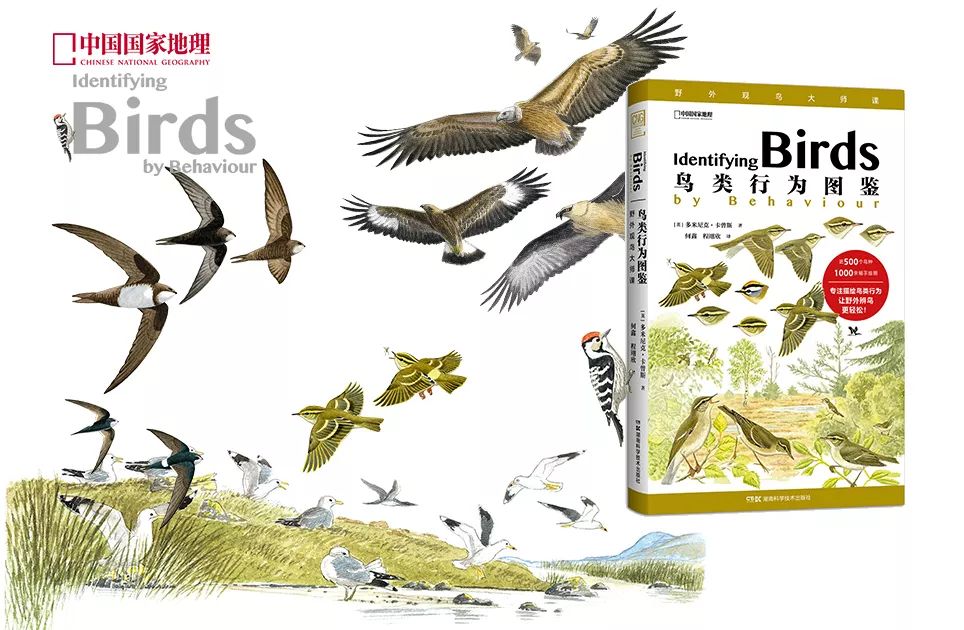 劲草嘉年华最新视频,2023年劲草嘉年华