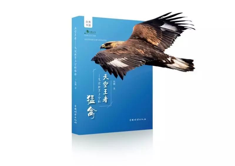 这也许是最好买的一场劲草嘉年华……