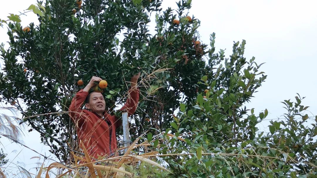 泉州的人间仙境,一秒就沦陷陆沉