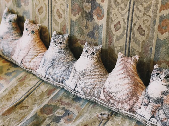 各种猫咪的博物馆,猫咪博物馆都有哪些猫