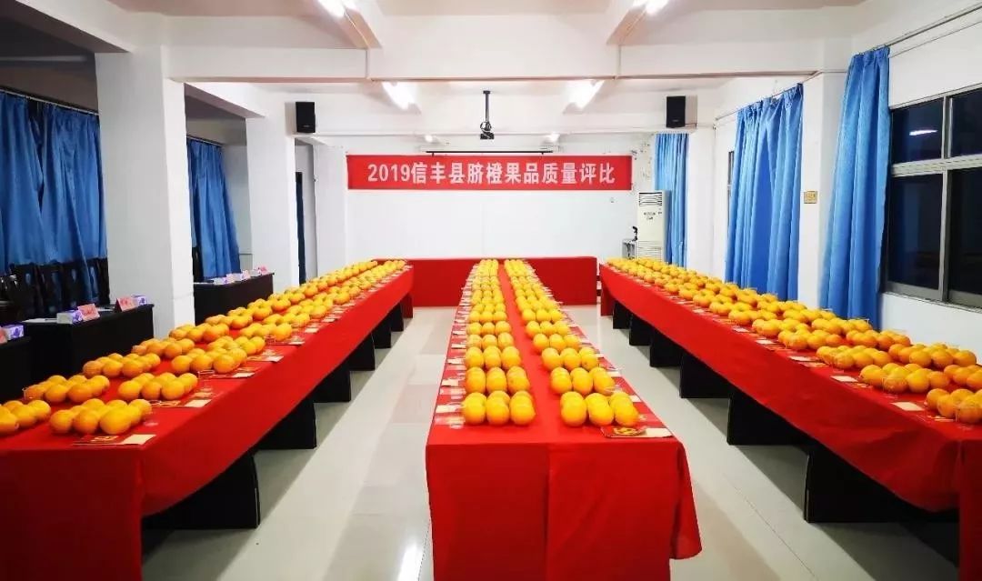 信丰脐橙和赣南脐橙,信丰脐橙第一橙