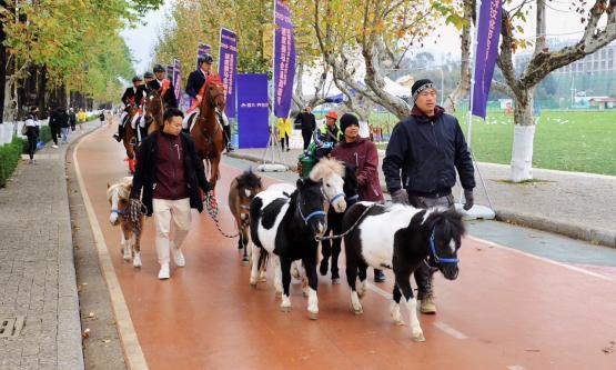 踏马滇池？百万名马乘骑等你来体验