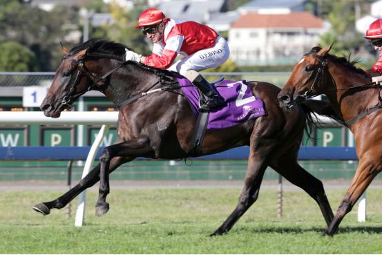 踏马滇池？百万名马乘骑等你来体验