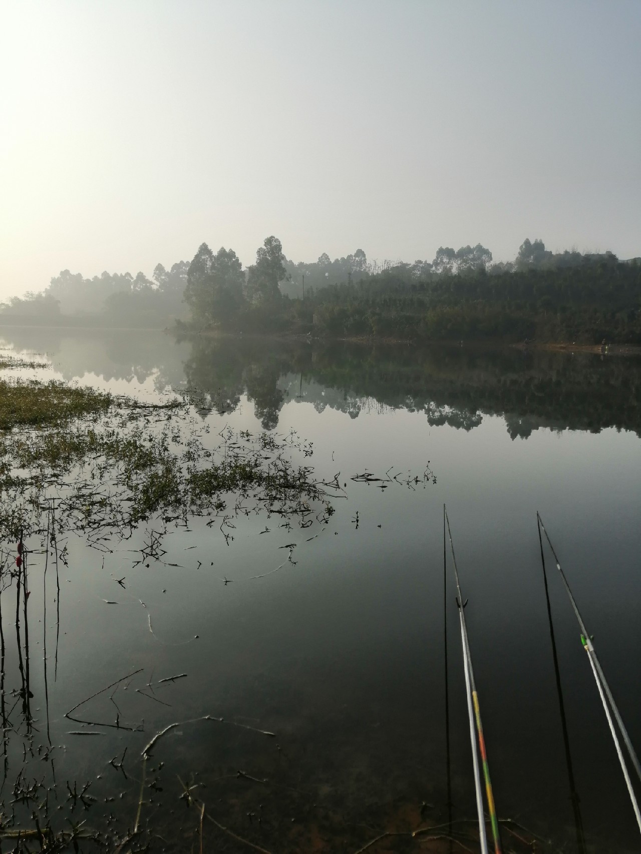 探钓偶遇小钓友怎么说,钓场用什么搭钓台