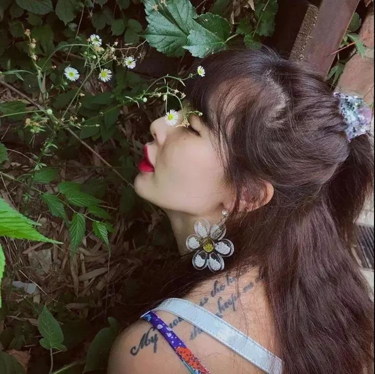 权志龙喜欢的雏菊是什么雏菊,权志龙的小雏菊为什么少一半