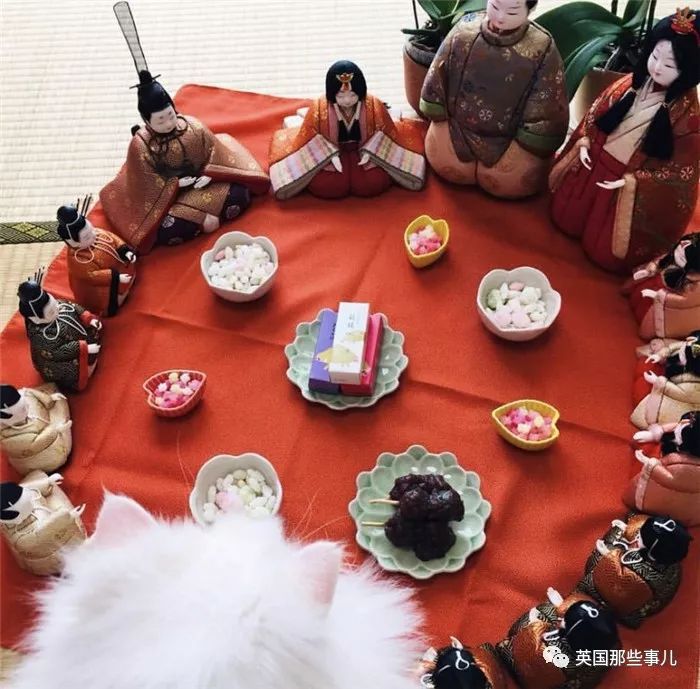 盘点喵星人的高光时刻,最好看的喵星人图片