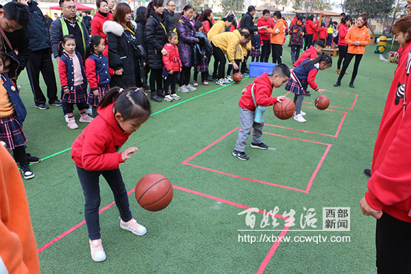 巨人树幼儿园直播,巨人树幼儿园活动主题
