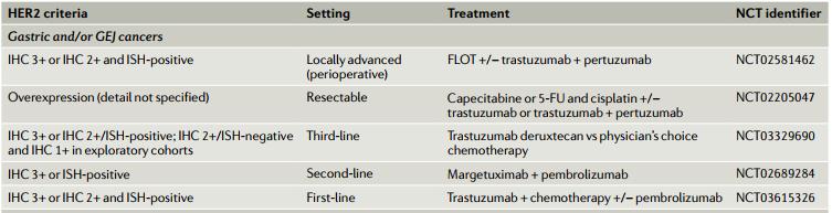 her2靶向治疗新思考,her-2靶向药