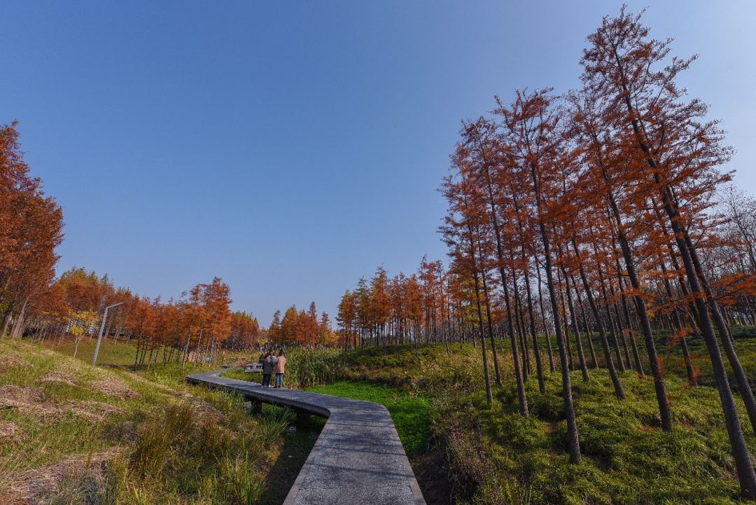 义乌最美的风景区是哪,义乌佛堂网红打卡地