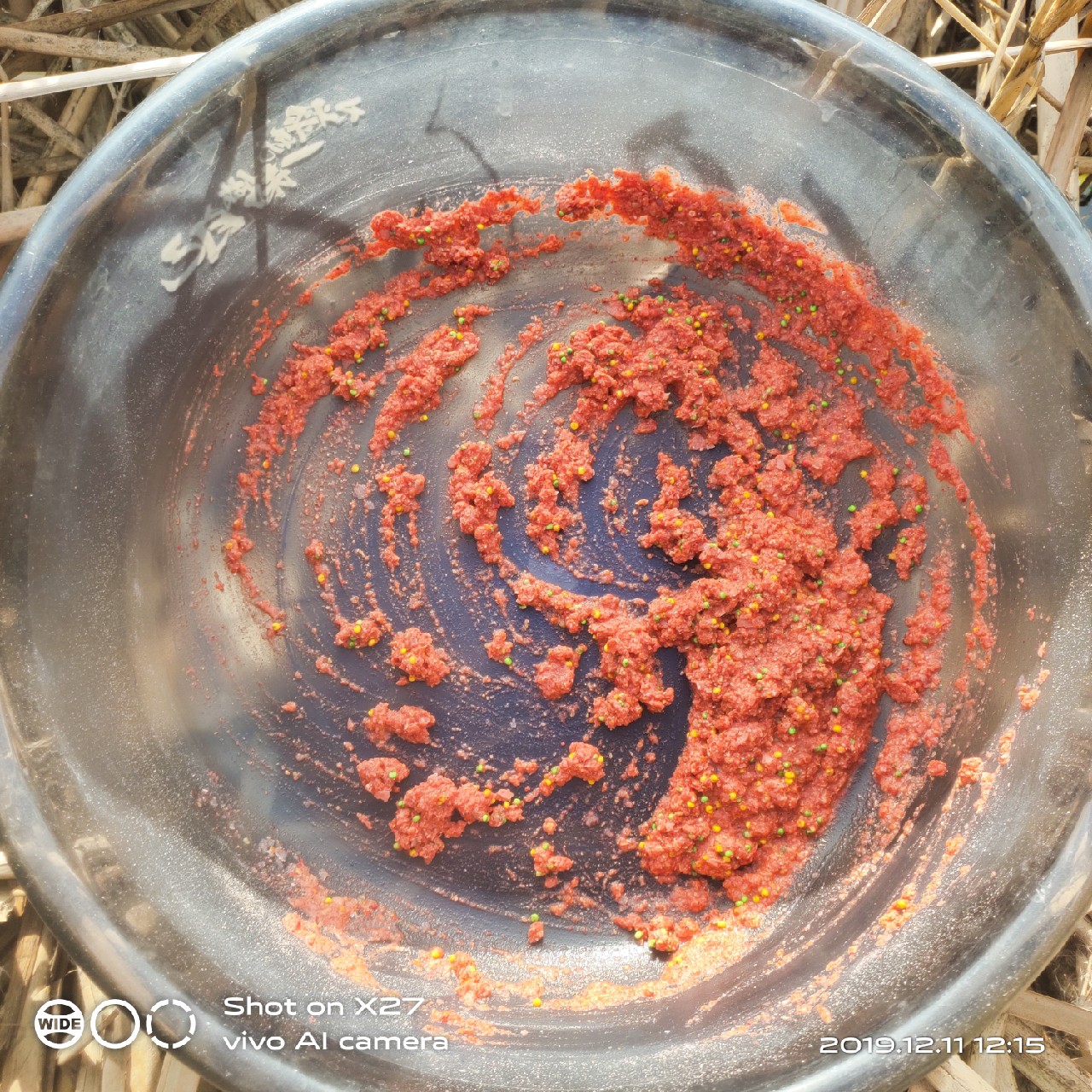 台钓鲫鱼教学,野钓芦苇多的地方鱼怎么样