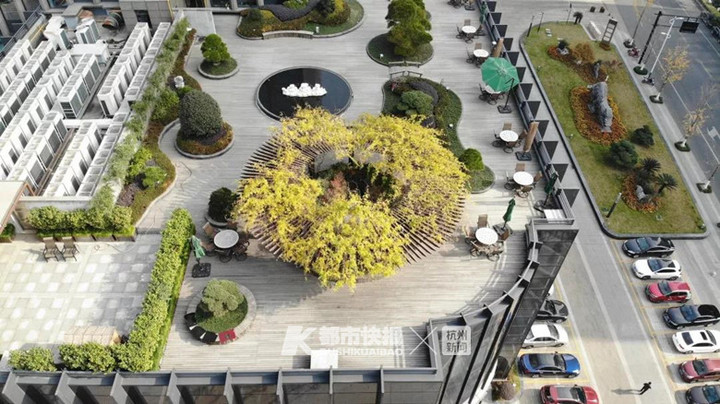 报告！杭州又发现一条舒适的屋顶跑道！杭州的大楼屋顶里，还藏着哪些秘密？