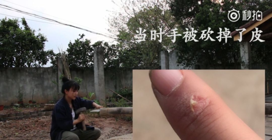 李子柒被央视点名：所有你羡慕的生活背后，都有你熬不了的苦