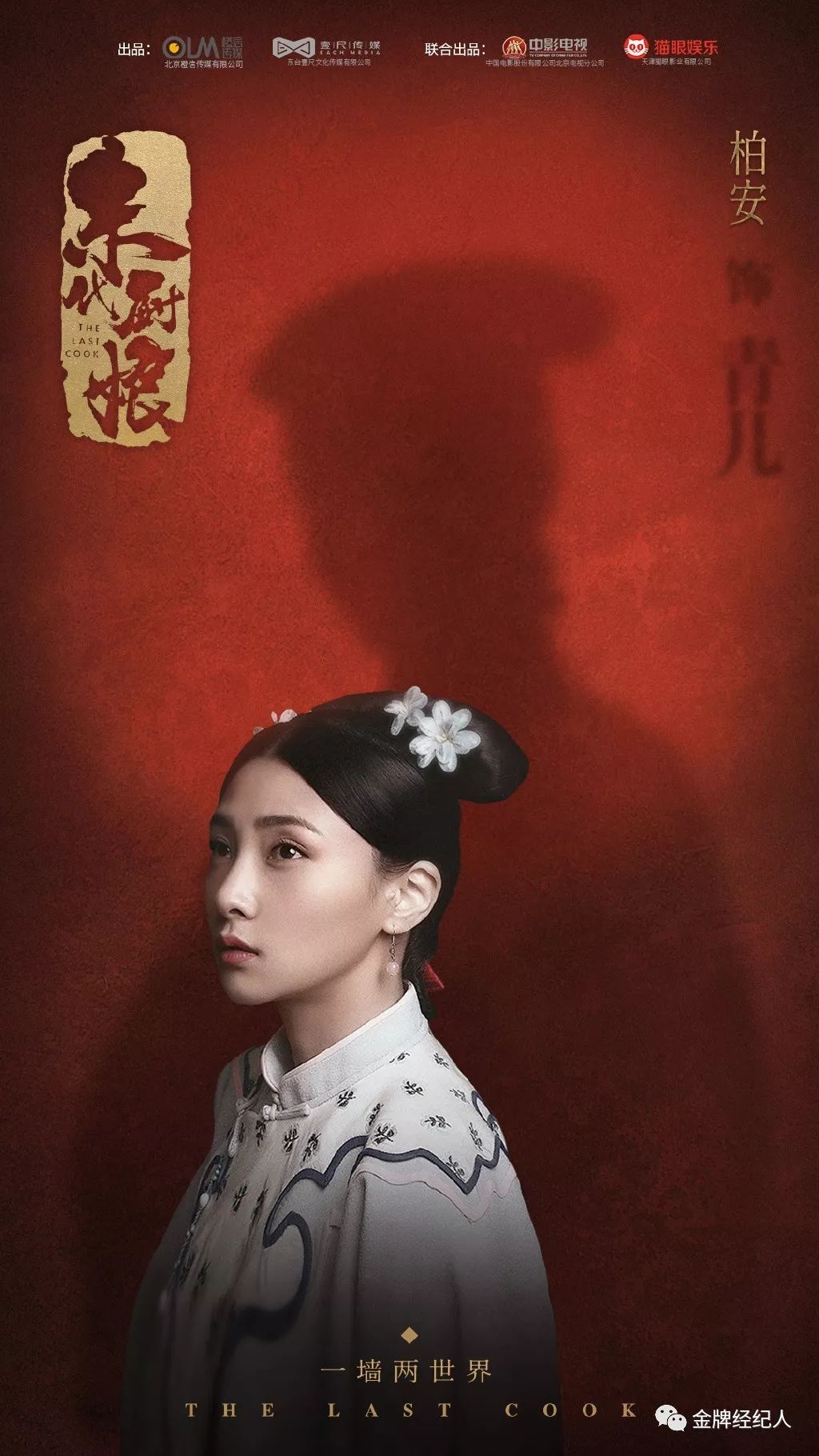 柏安古装,天火窦骁柏安结局