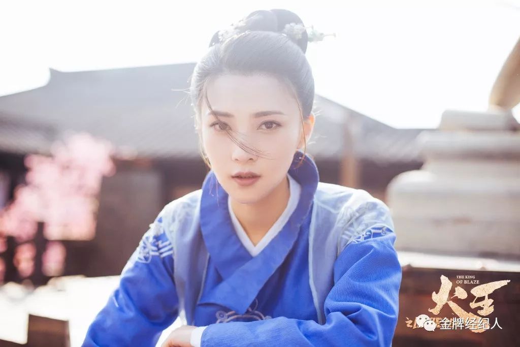 柏安古装,天火窦骁柏安结局