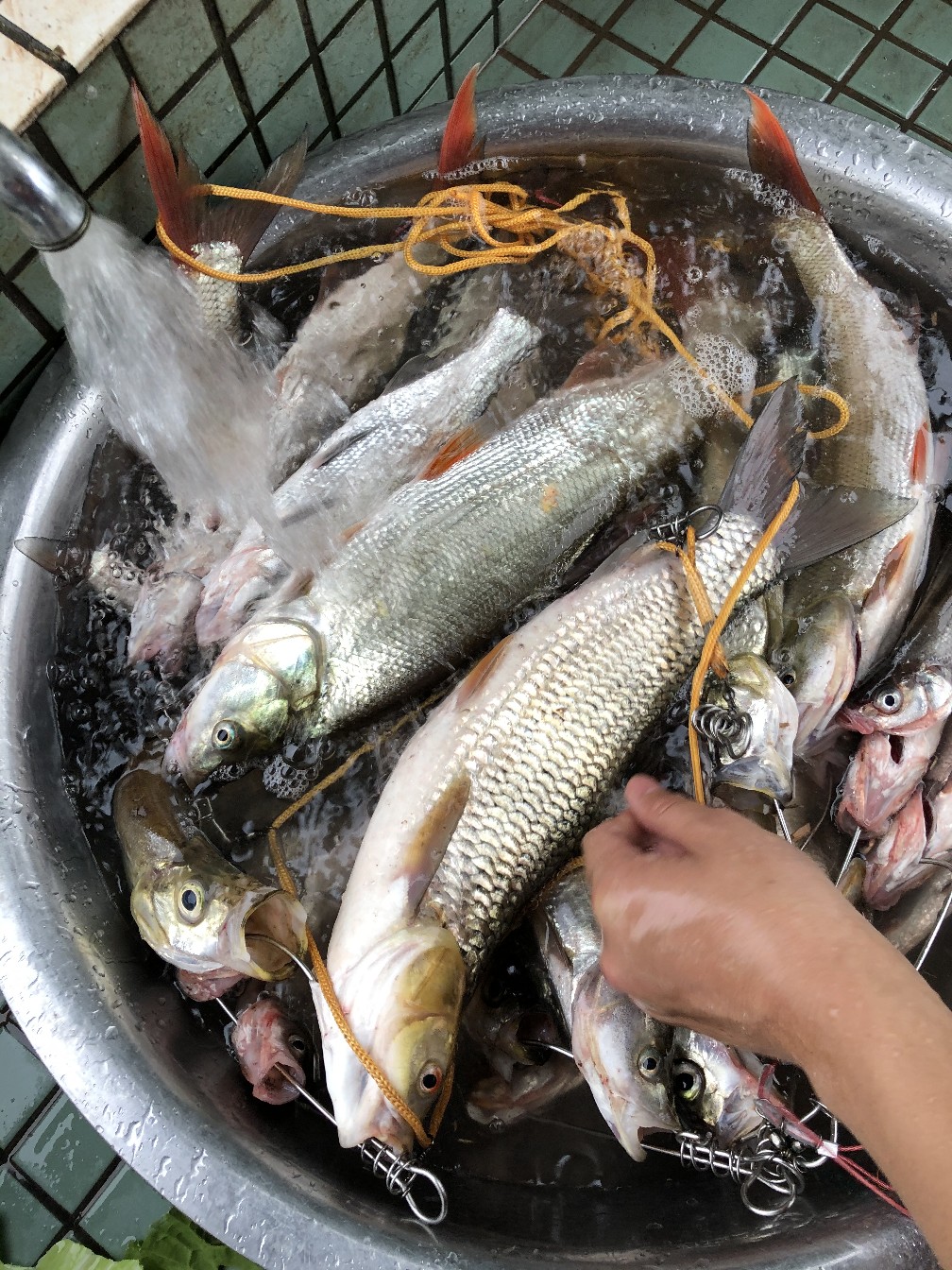 路亚和矶钓如何选择,台钓和路亚哪个烧钱